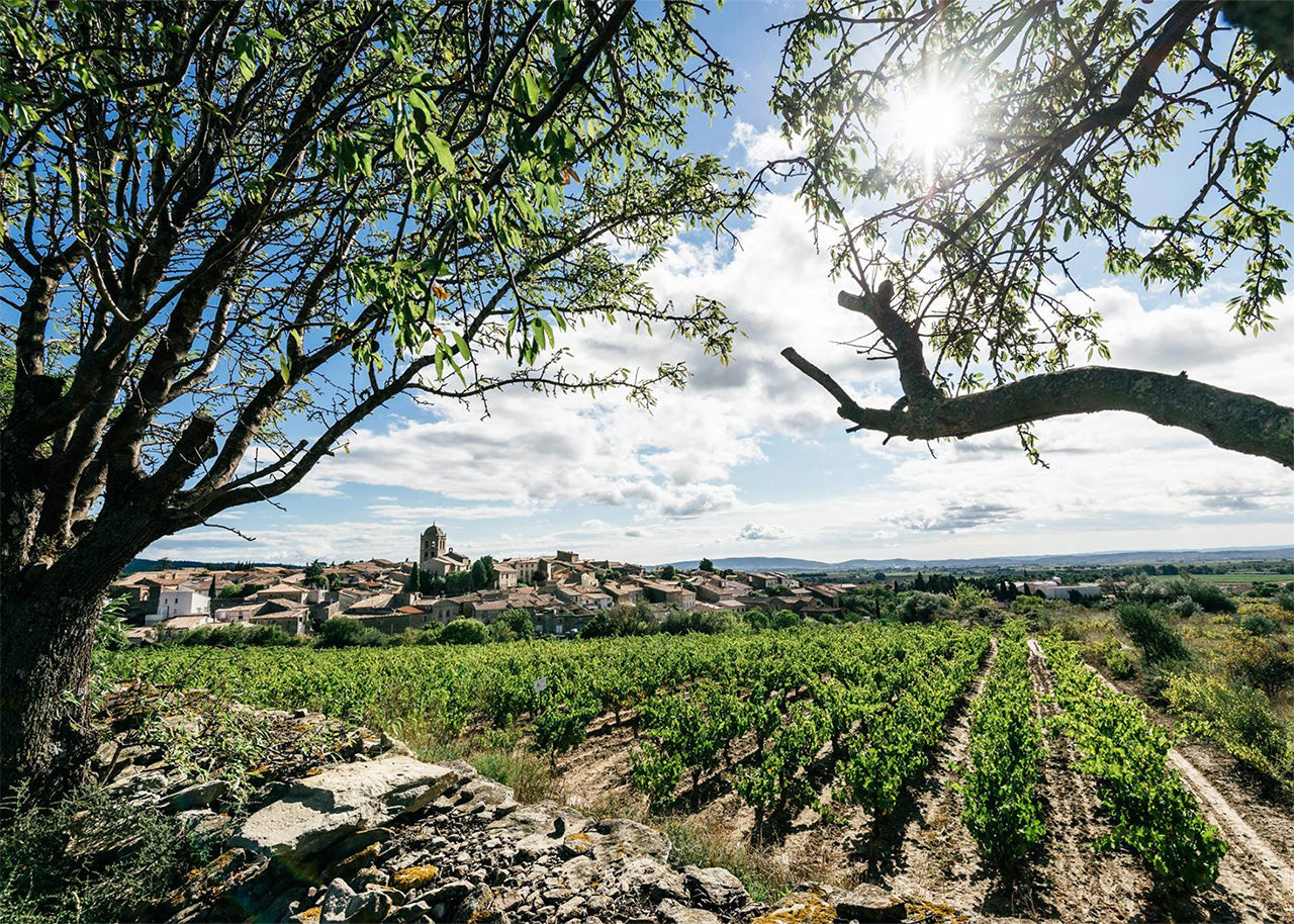 Producer Spotlight: Chateau Maris