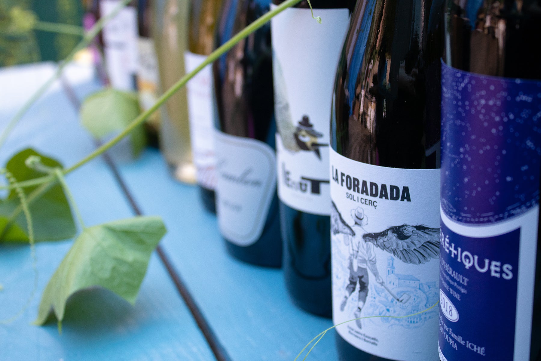 Organic & Biodynamic Wine