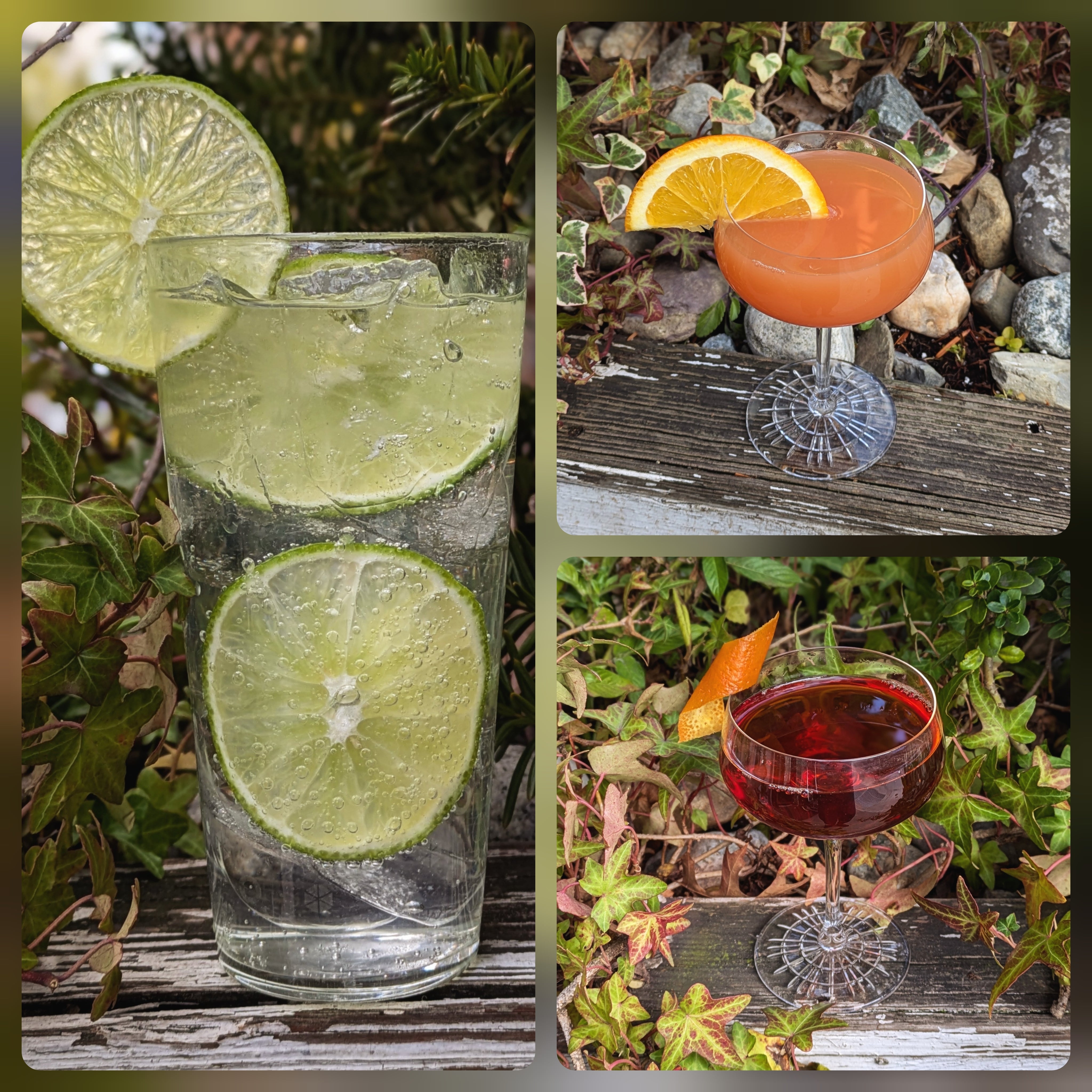 Prohibition Era Cocktails From The Greene Grape