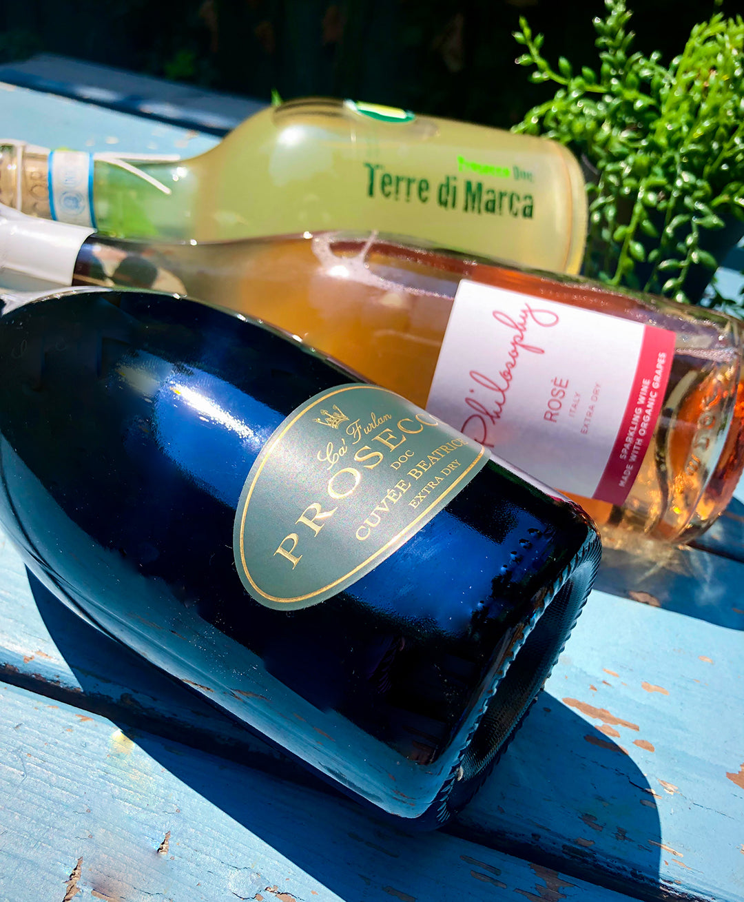 NATIONAL PROSECCO DAY! PROSECCO 101