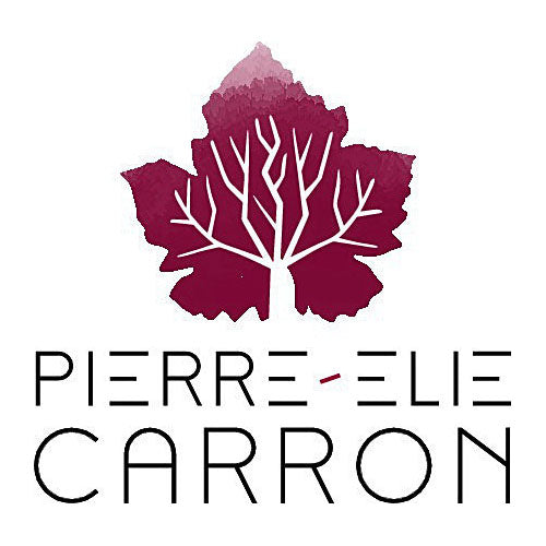Pierre Elie Carron