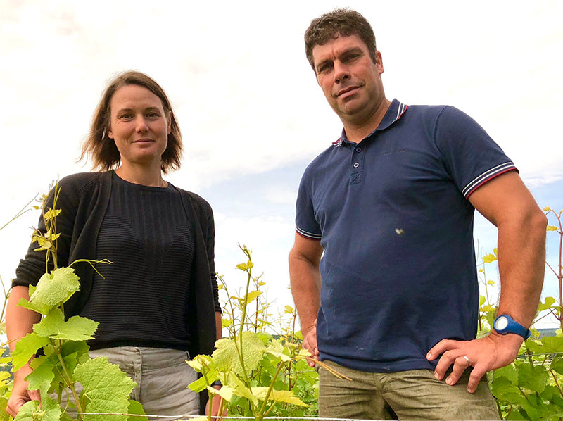 Domaine Cornu-Camus From The Greene Grape