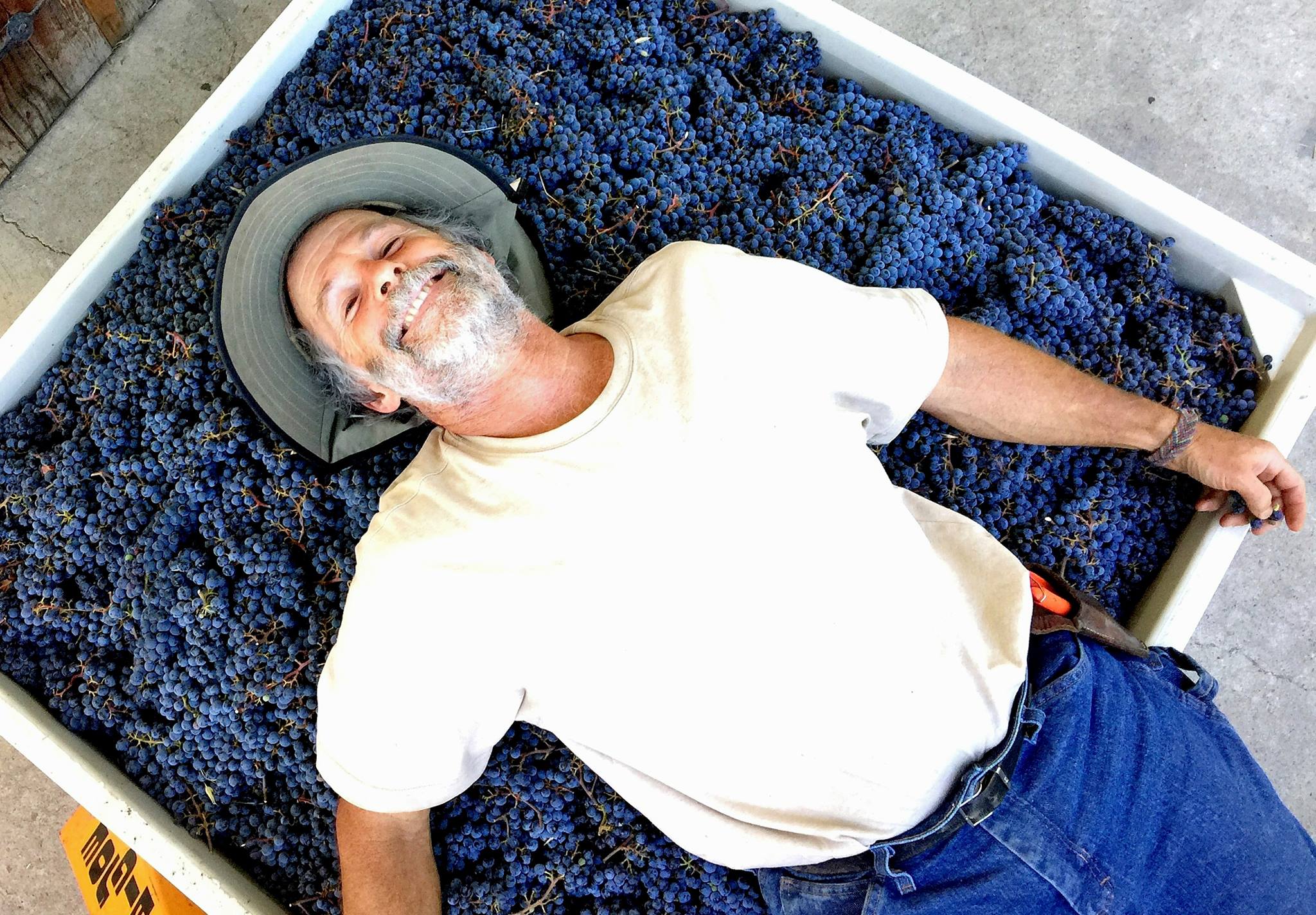 Clos Saron/Taken From Granite at the Greene Grape