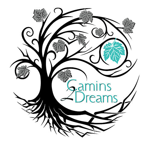 Camins 2 Dreams